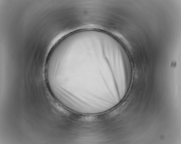 X0000090781278200708172120