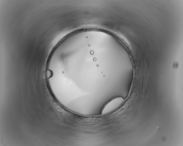 X0000090781279200708172120