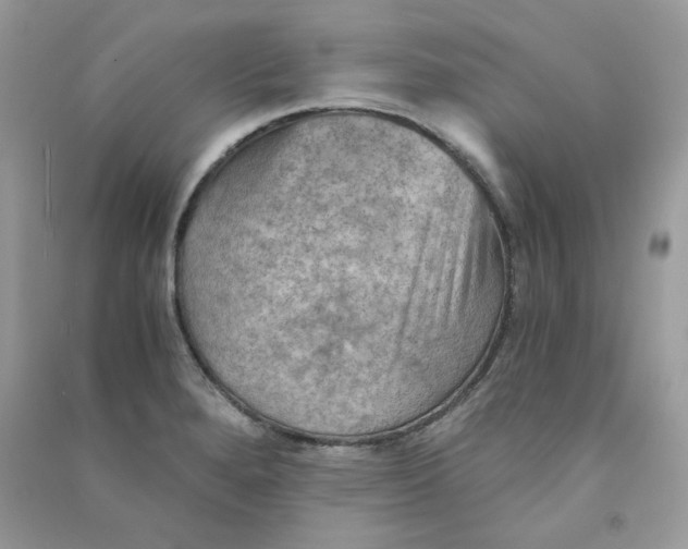 X0000090781280200708172120