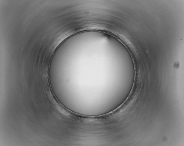 X0000090781281200708172120