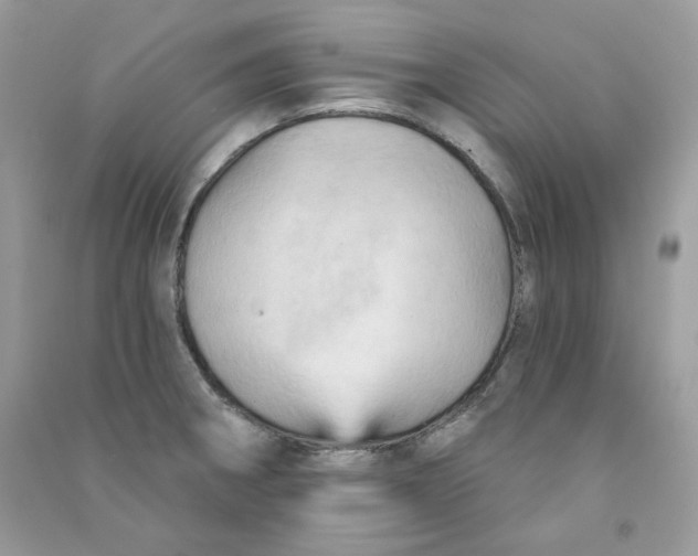 X0000090781282200708172120