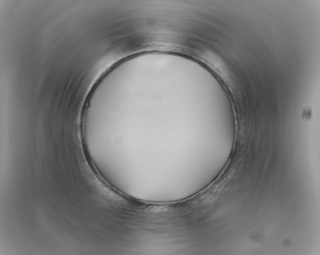 X0000090781283200708172120