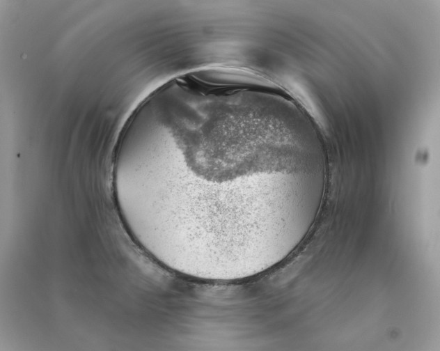 X0000090781284200708172120
