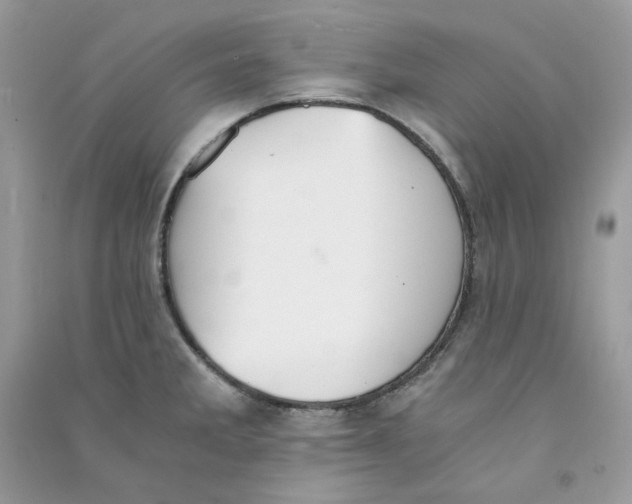 X0000090781285200708172120