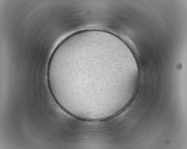 X0000090781288200708172120