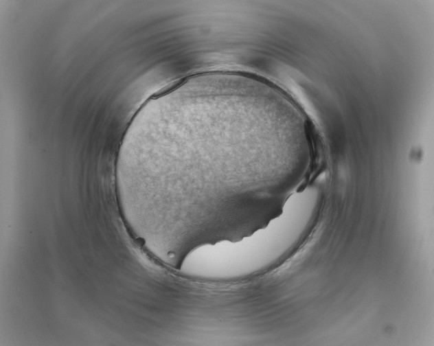 X0000090781289200708172120