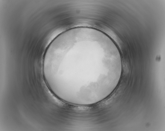 X0000090781290200708172120