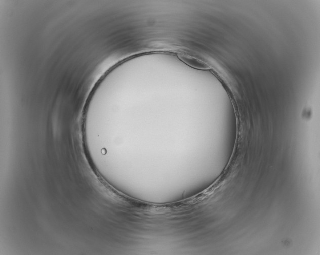 X0000090781291200708172120
