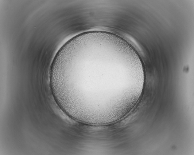 X0000090781292200708172120