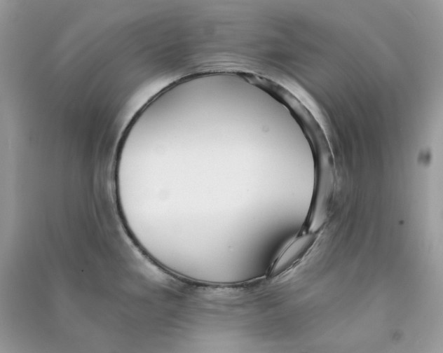 X0000090781293200708172120