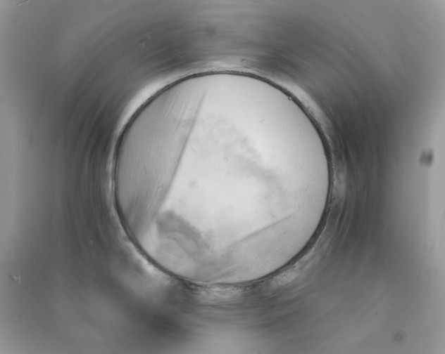 X0000090781294200708172120