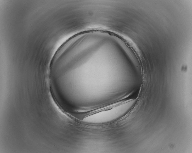 X0000090781295200708172120