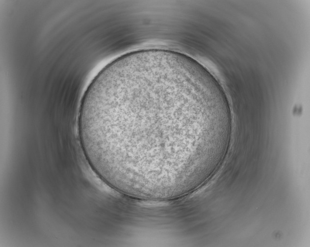X0000090781296200708172120