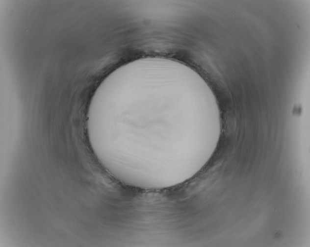 X0000090781297200708172120
