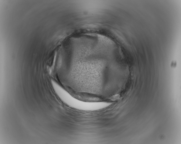 X0000090781298200708172120