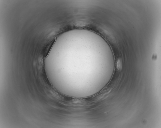 X0000090781299200708172120