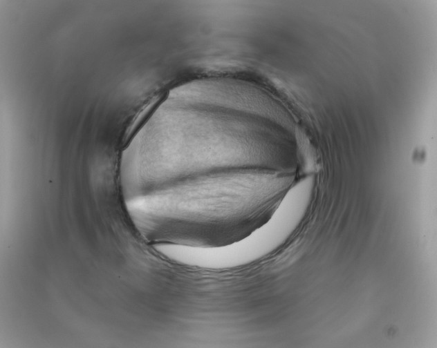 X0000090781300200708172120