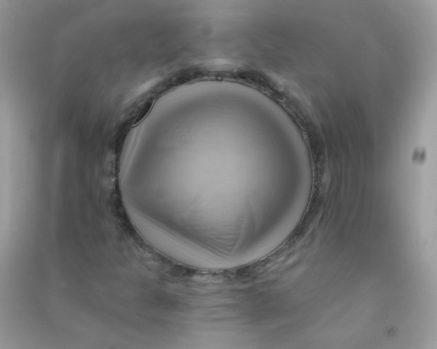 X0000090781301200708172120
