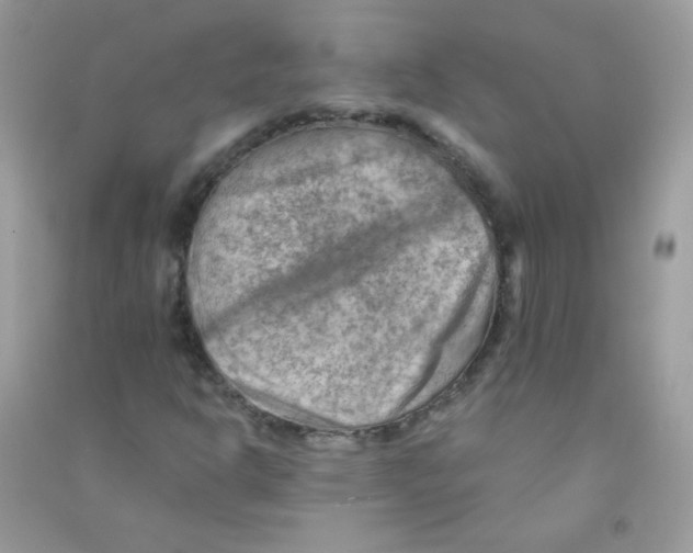 X0000090781302200708172120