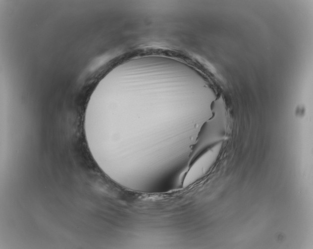 X0000090781303200708172120