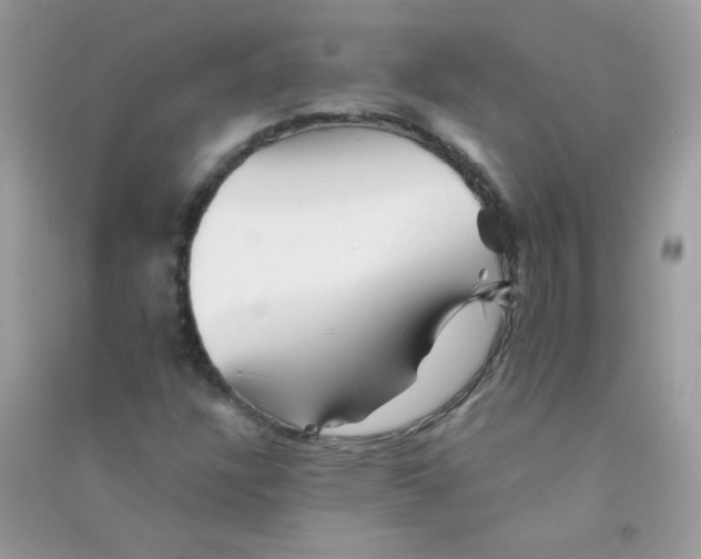 X0000090781304200708172120