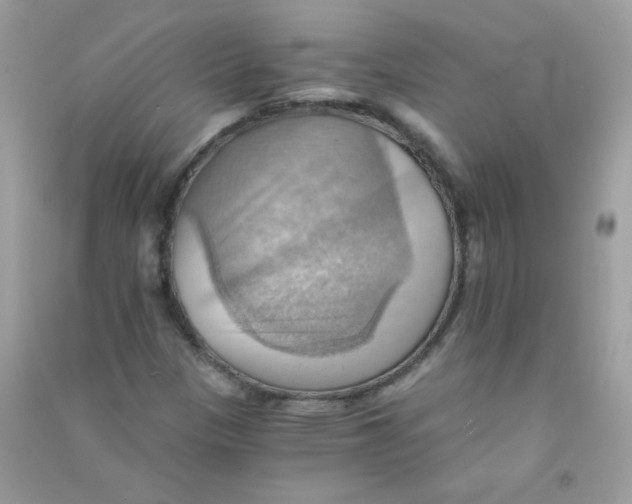 X0000090781305200708172120