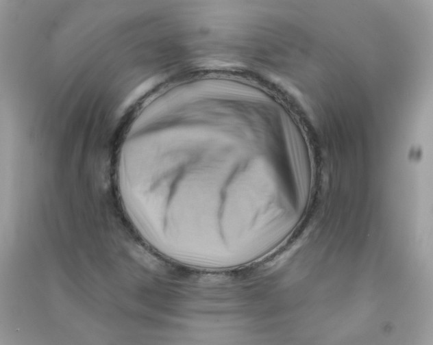 X0000090781306200708172120