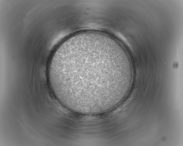 X0000090781307200708172120