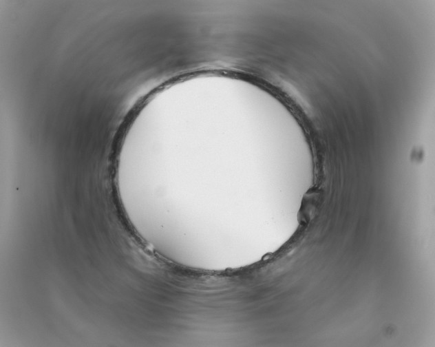 X0000090781308200708172120