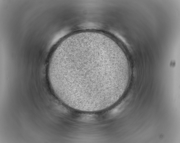 X0000090781309200708172120
