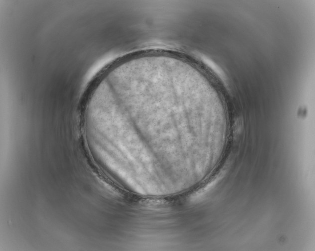X0000090781310200708172120