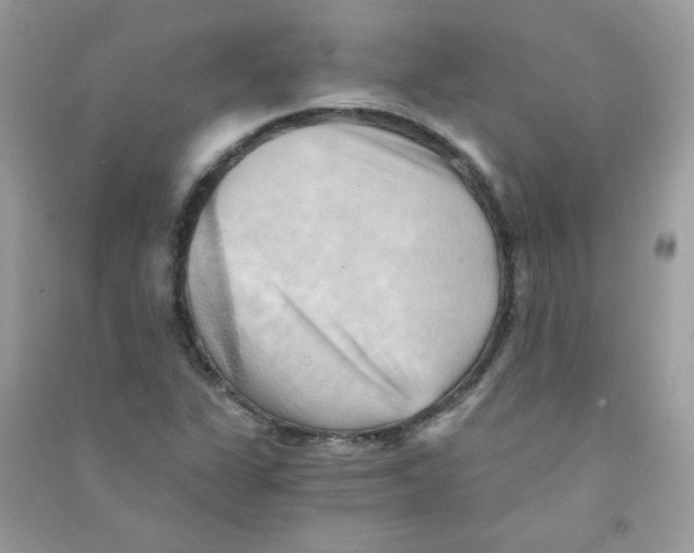 X0000090781311200708172120