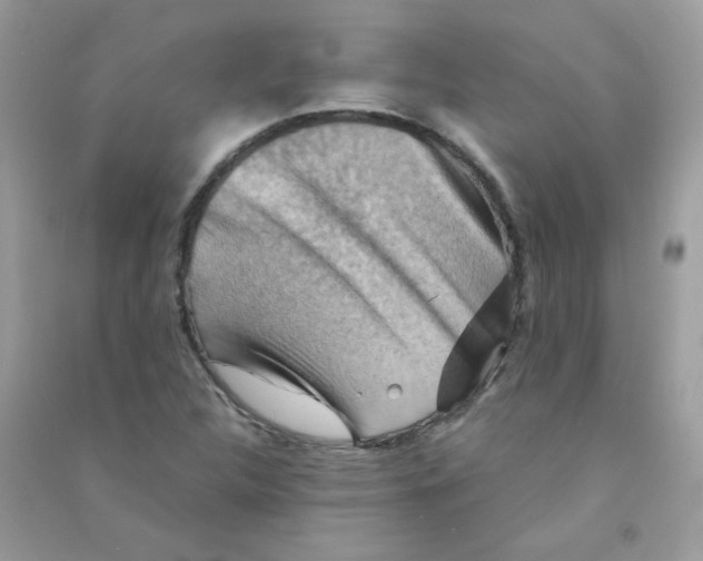 X0000090781312200708172120