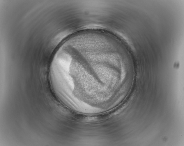 X0000090781313200708172120