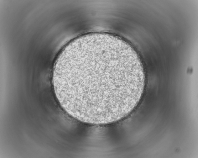 X0000090781314200708172120