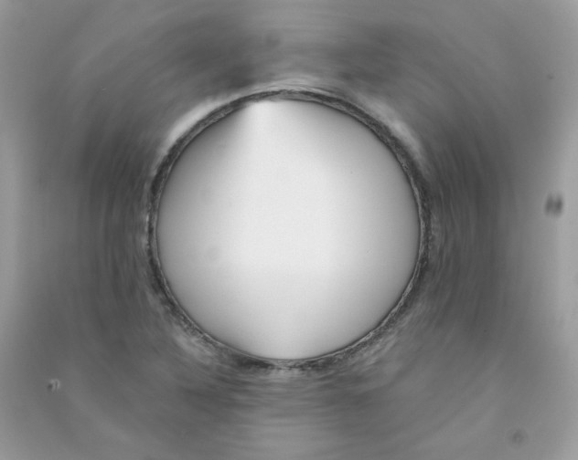X0000090781316200708172120