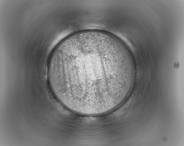 X0000090781317200708172120