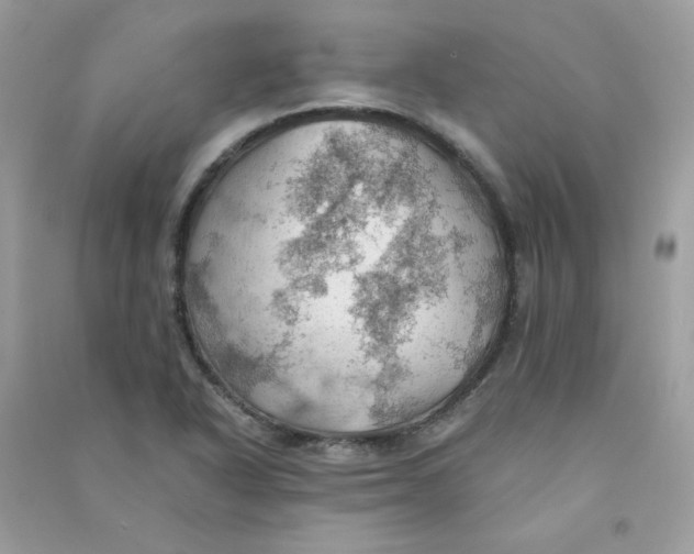 X0000090781318200708172120