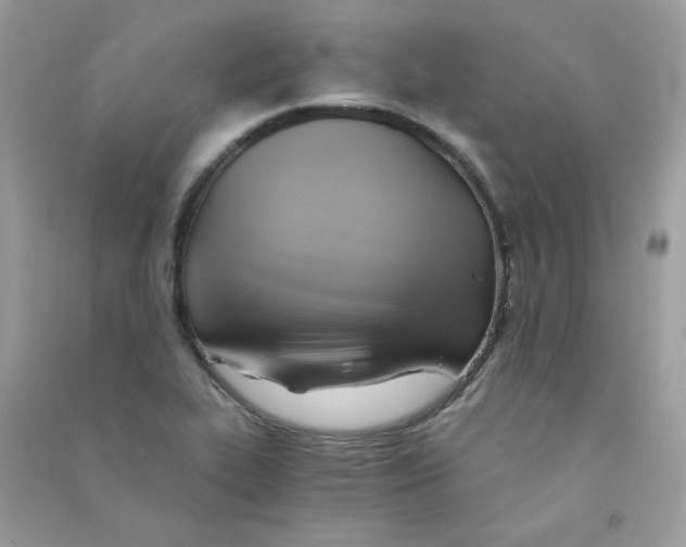 X0000090781319200708172120
