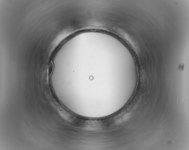 X0000090781320200708172120
