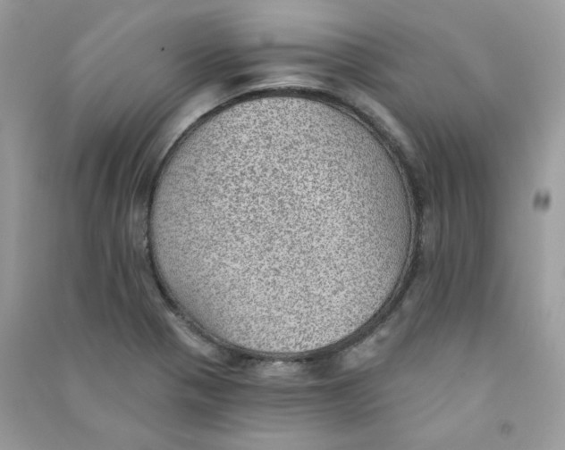 X0000090781321200708172120