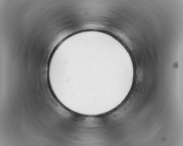 X0000090781322200708172120