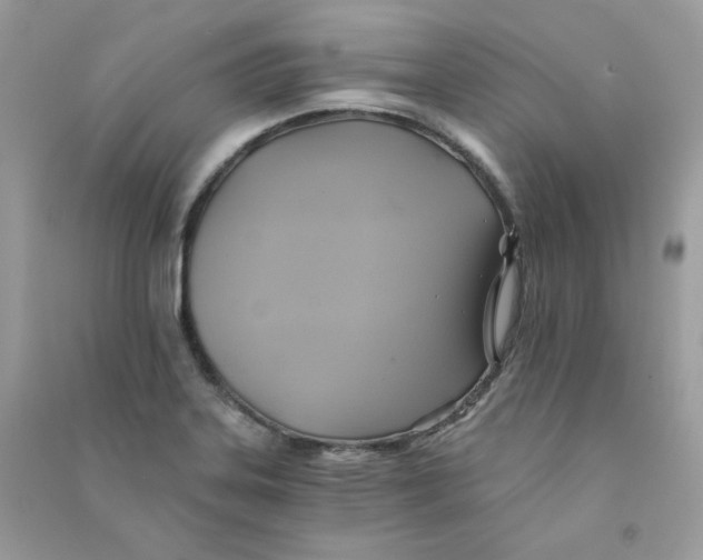 X0000090781323200708172120