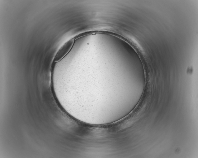 X0000090781324200708172120