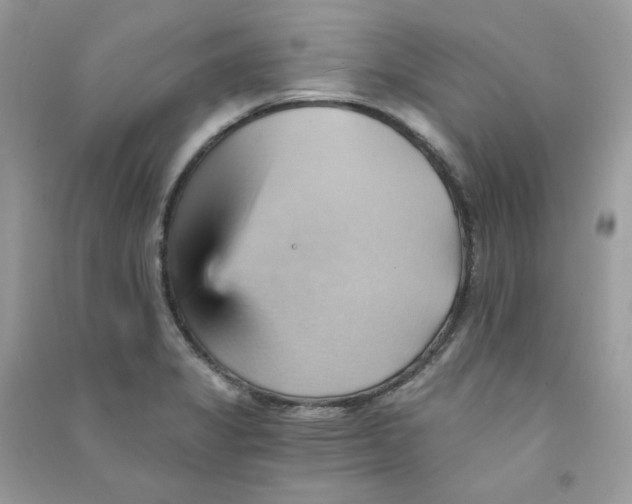 X0000090781325200708172120