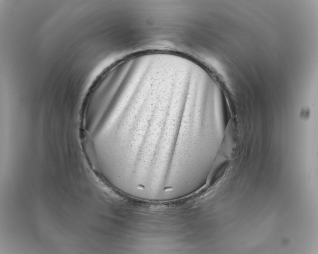 X0000090781326200708172120