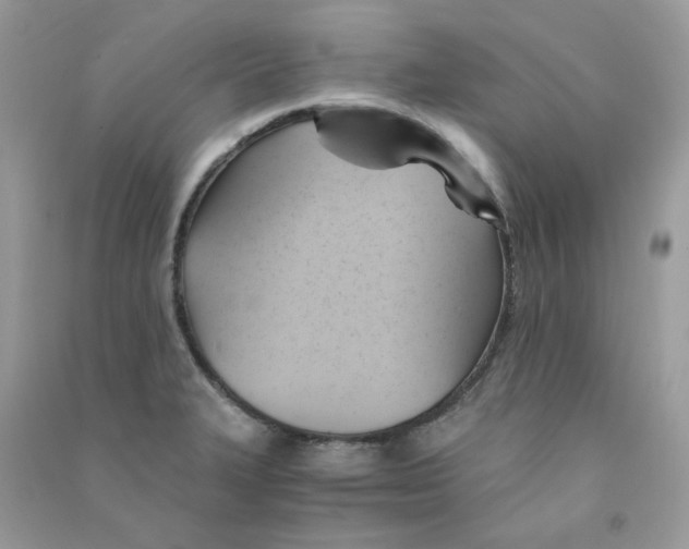 X0000090781327200708172120