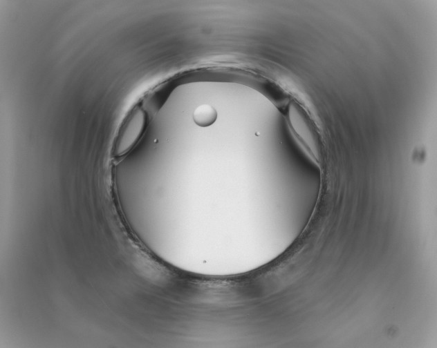 X0000090781328200708172120