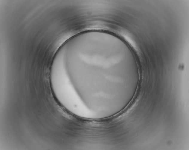 X0000090781329200708172120
