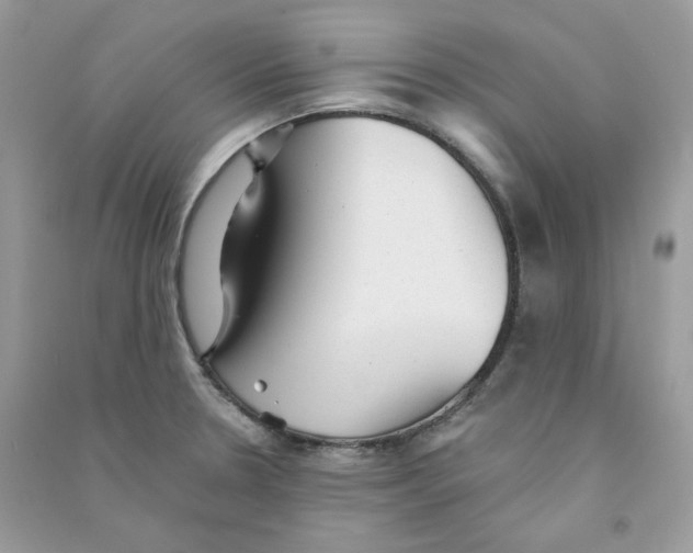 X0000090781330200708172120